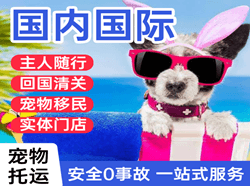 三女河空运地址国际宠物托运 【国